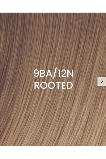 [505025-09BA12N-R] BHBD Weft 50x25cm 9BA/12N Rooted