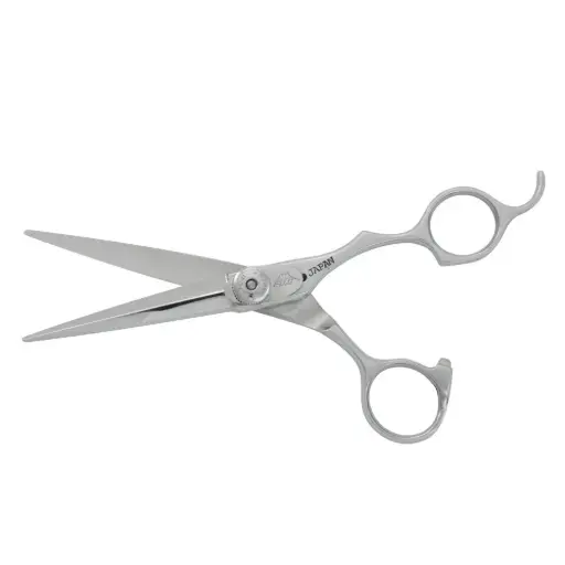 [FGGF50] EE Fuji President 5"