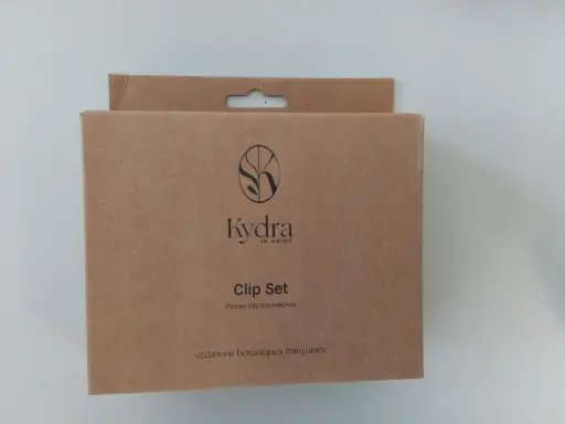 [KD22013FR] Kydra Le Salon Clip Set 