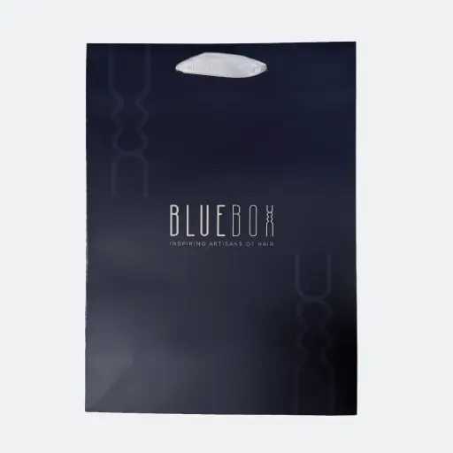 [BPBM] BLUE Paper Bag M