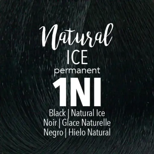 [41000] Mydentity - PERM. 1NI Natural Ice Black