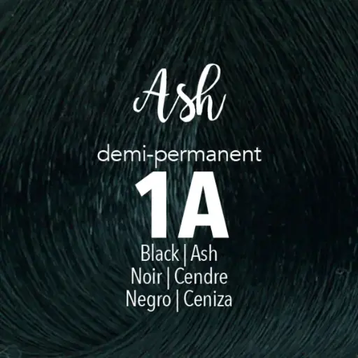 [41044] Mydentity - DEMI 1A Ash Black