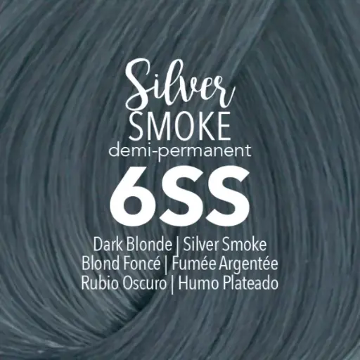 [41065] Mydentity - DEMI 6SS Silver Smoke Dark Blonde